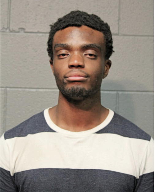 ABRAHAM J OIOYEDE, Cook County, Illinois