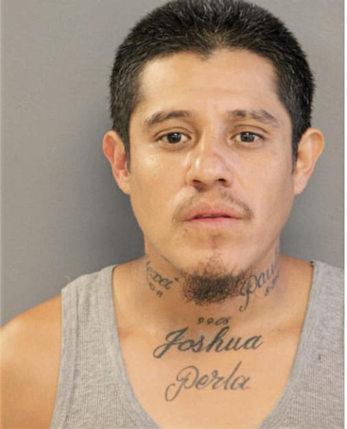 RODOLFO RAMIREZ, Cook County, Illinois