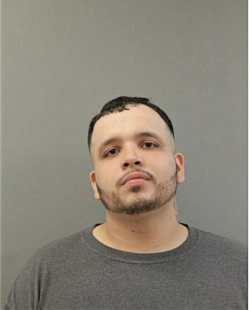 ANTHONY C ROMO, Cook County, Illinois
