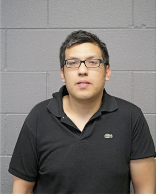 LEMUEL V VICENCIO, Cook County, Illinois