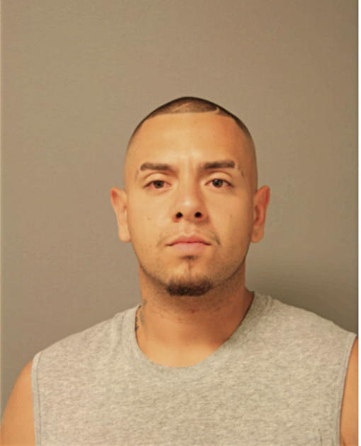 CESAR VILLAGOMEZ, Cook County, Illinois