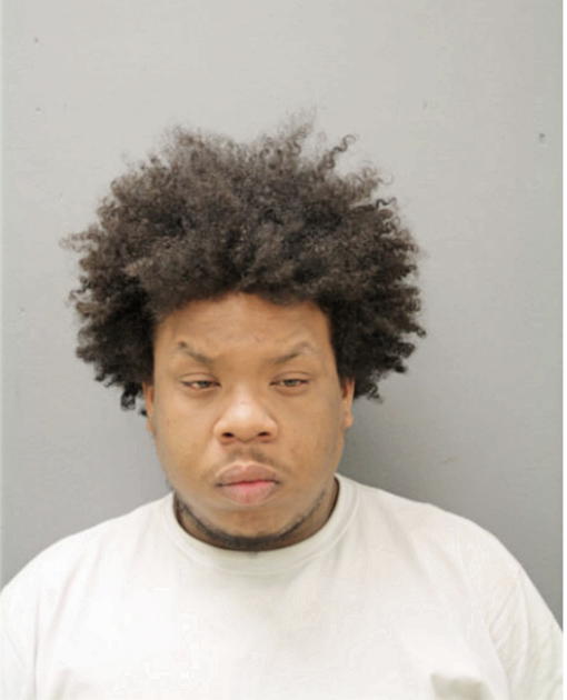 LEON L WILLIAMS, Cook County, Illinois