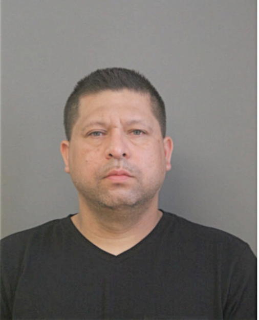 ALFREDO ARENAL, Cook County, Illinois