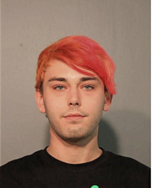 FRANK A BRUSCATO, Cook County, Illinois