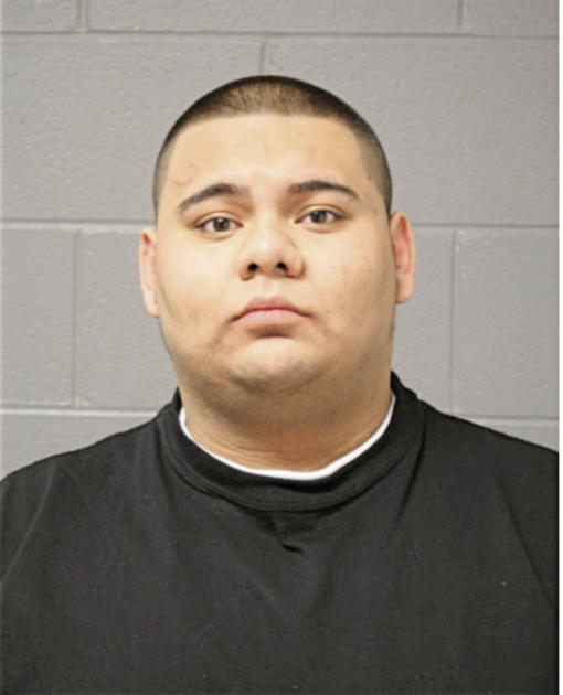 GABRIEL CAMARANA, Cook County, Illinois