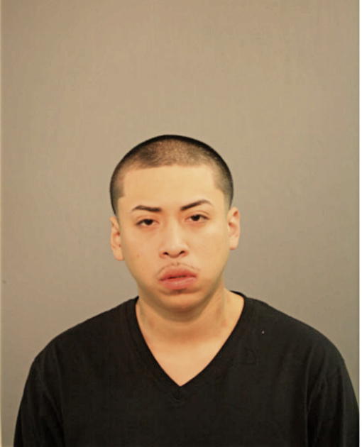 MIGUEL A CASTILLO, Cook County, Illinois