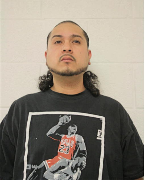 ANDRES E CAYUELA, Cook County, Illinois