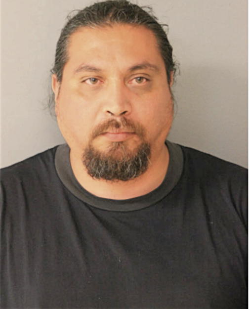 ANDRES DELARIVA, Cook County, Illinois