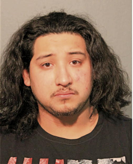 EDWIN V DIAZ, Cook County, Illinois
