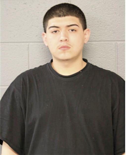TOMAS M DIAZ, Cook County, Illinois
