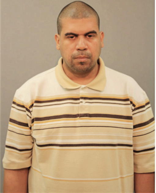 JORGE L GONZALEZ, Cook County, Illinois