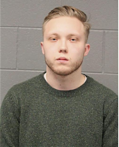 CARL M JOHNSON, Cook County, Illinois