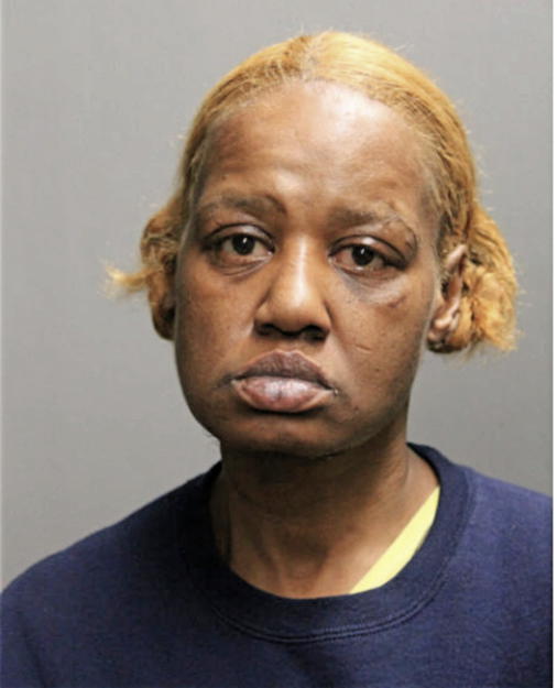 AVA L LINDSEY, Cook County, Illinois