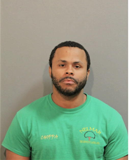 LENNOX D MARTIN, Cook County, Illinois