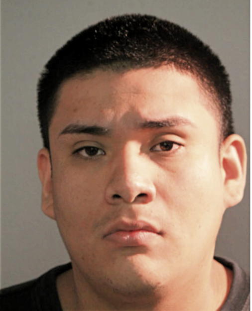 ELENO MEZA, Cook County, Illinois