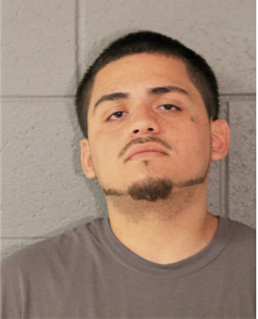 CARLOS G MONTANEZ, Cook County, Illinois