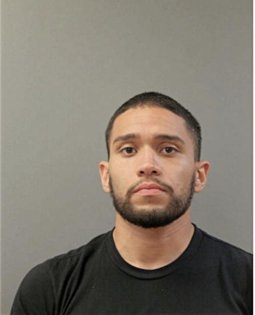 JOHN MICHEAL REYES, Cook County, Illinois