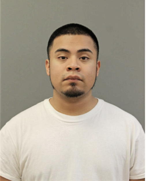 CAMILO RIVERA, Cook County, Illinois