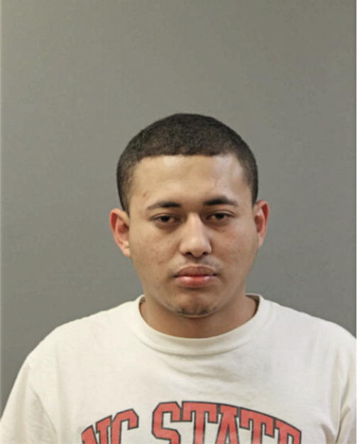 JOSUE R SOSA, Cook County, Illinois