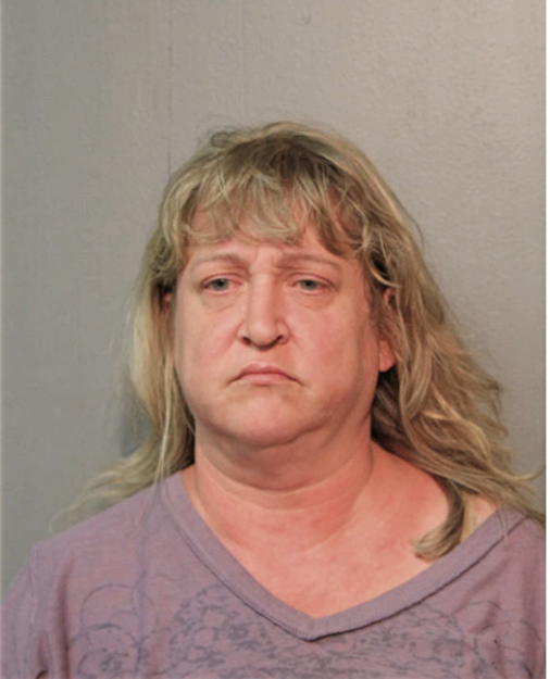 DIANE L STEFFENS, Cook County, Illinois