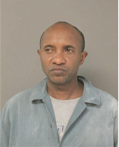 ALEM A TEKLE, Cook County, Illinois