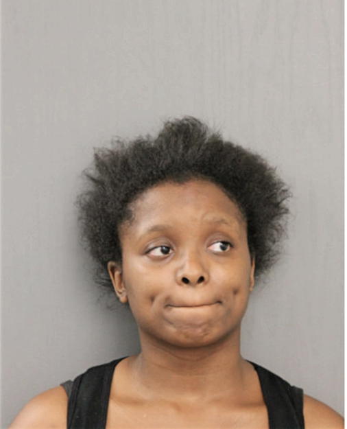 DEBRA L WILSON, Cook County, Illinois
