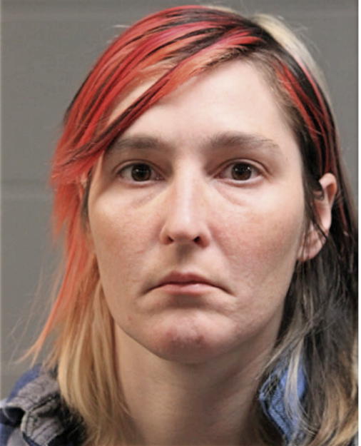 HEATHER L WITT, Cook County, Illinois