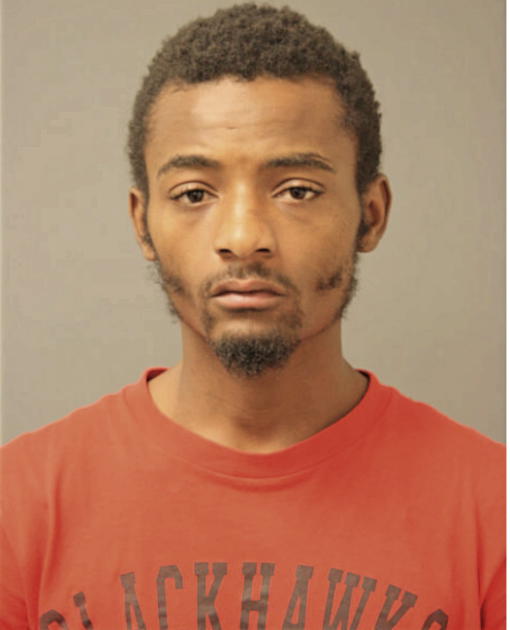 CALVIN E YOUNG, Cook County, Illinois