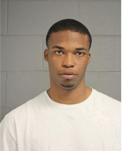 DOUGLAS C YOUNG, Cook County, Illinois