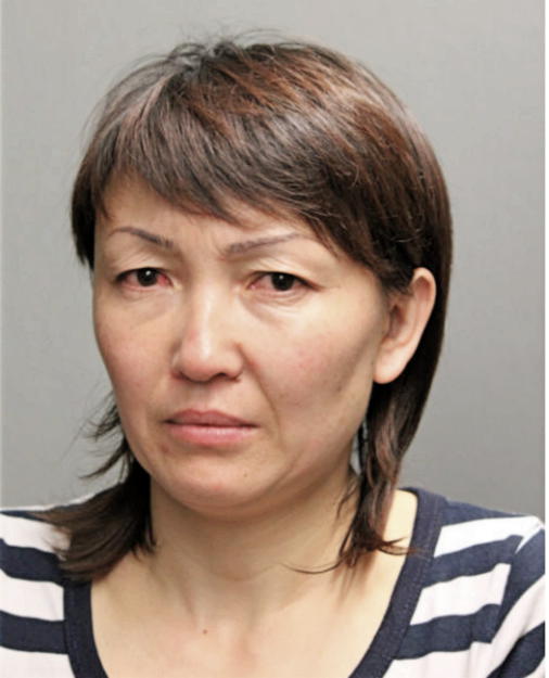SAMARA ABDRAKHMANOVA, Cook County, Illinois