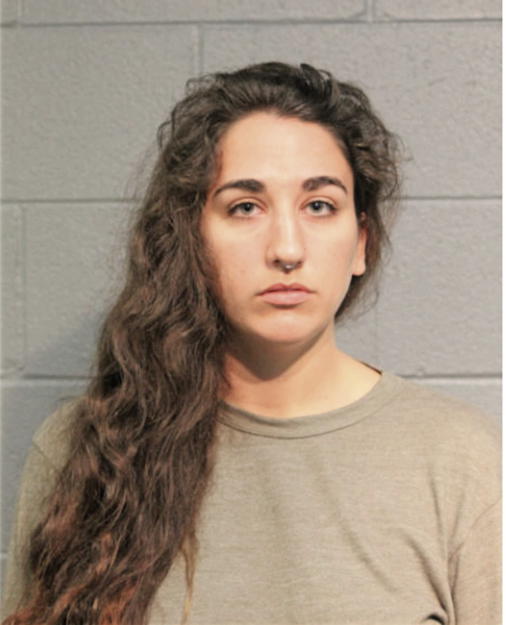 NOELLE V AWADALLAH, Cook County, Illinois