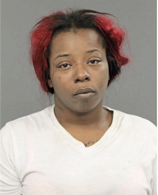 TANISHA T BINION, Cook County, Illinois