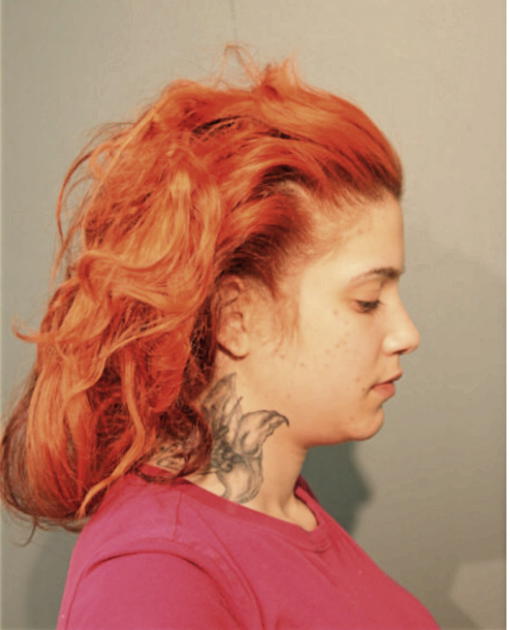 ROSIDELIS CASTILLO, Cook County, Illinois