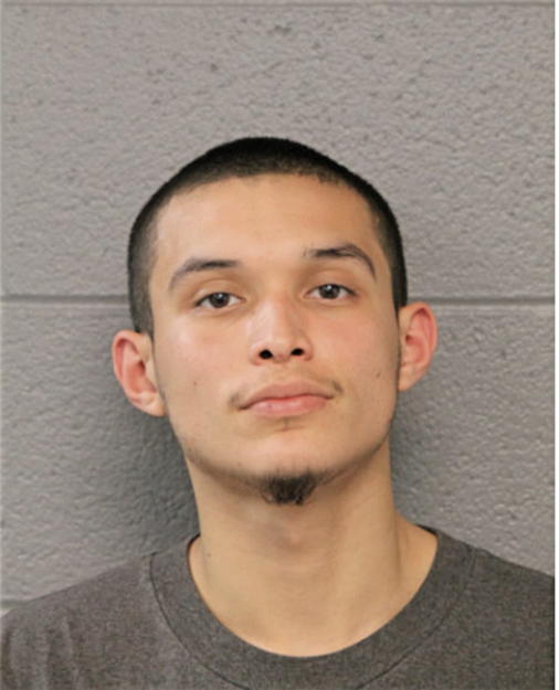 JESUS FLORES, Cook County, Illinois