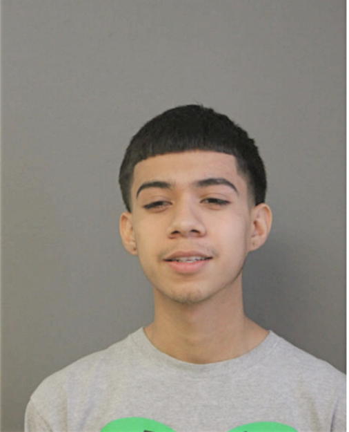 LUIS HERRERA, Cook County, Illinois