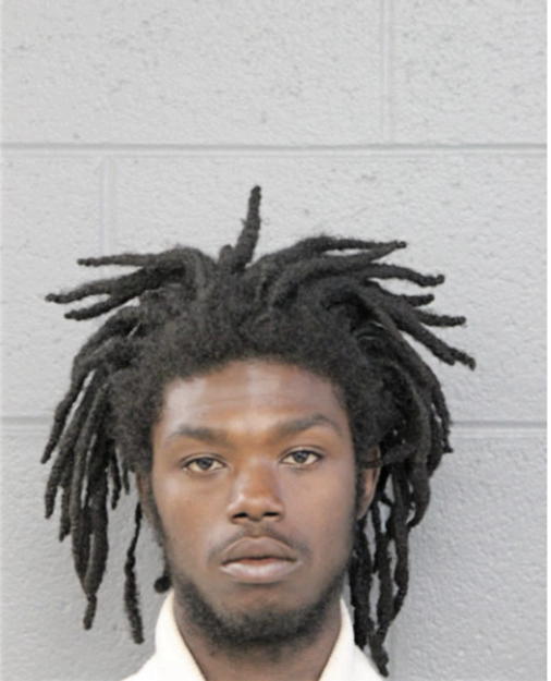 TERRY C IVORY, Cook County, Illinois