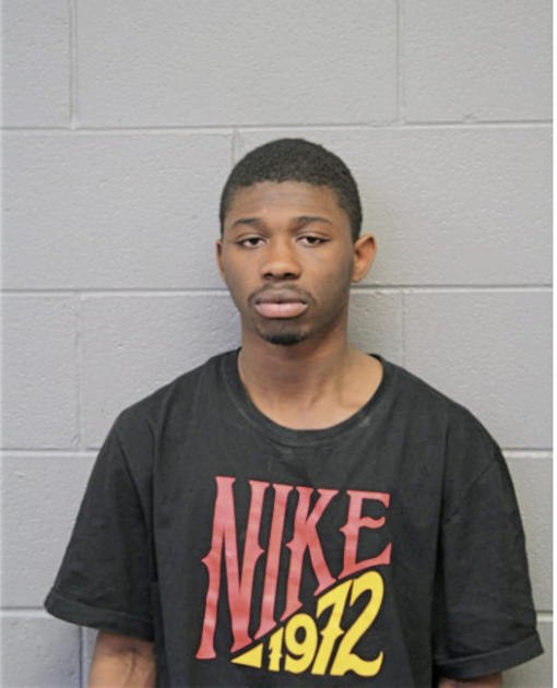 MICAH T JOHNSON, Cook County, Illinois