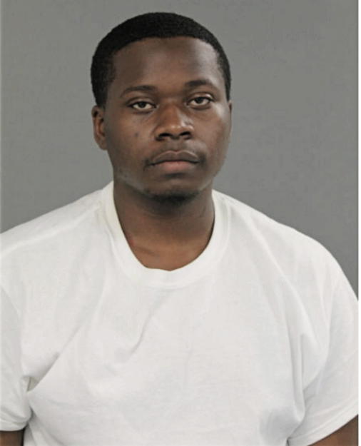 TERRANCE C JOHNSON, Cook County, Illinois