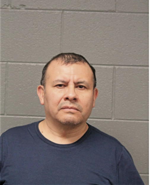 FALSINO LERMA, Cook County, Illinois