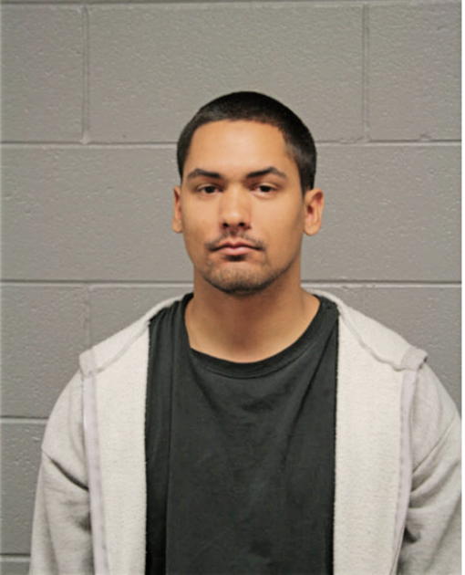 THOMAS F MCFADDEN, Cook County, Illinois