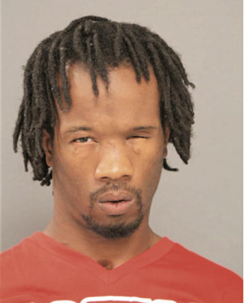 ANSARI MCKINNEY-WILLIAMS, Cook County, Illinois