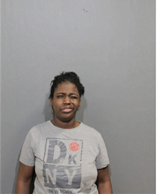 TAMEKA N MCKINNIS, Cook County, Illinois