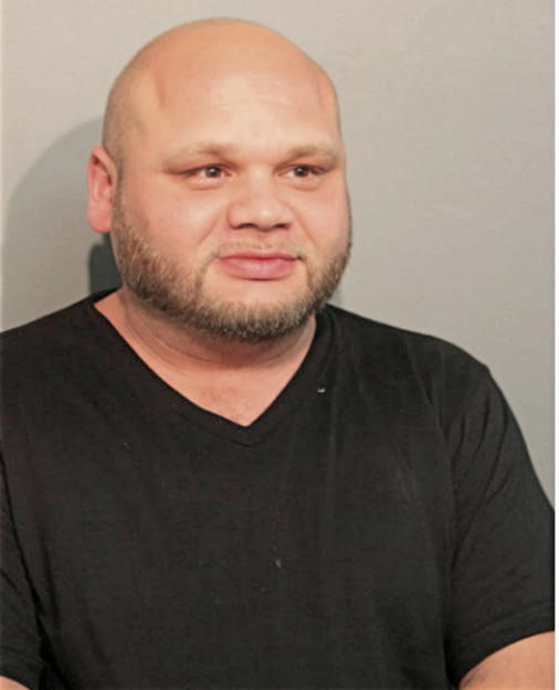 BIBERCE PETROVIC, Cook County, Illinois
