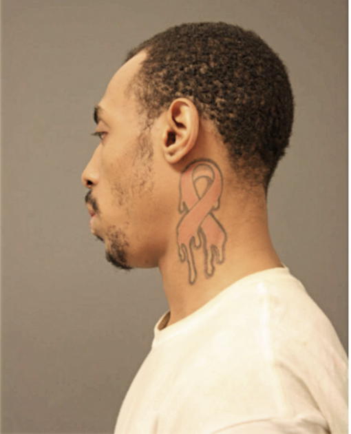 DON W ROBINSON, Cook County, Illinois