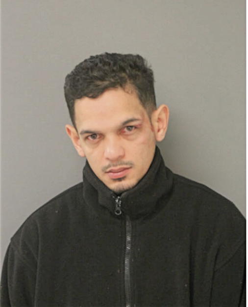 VERNI ROJAS, Cook County, Illinois