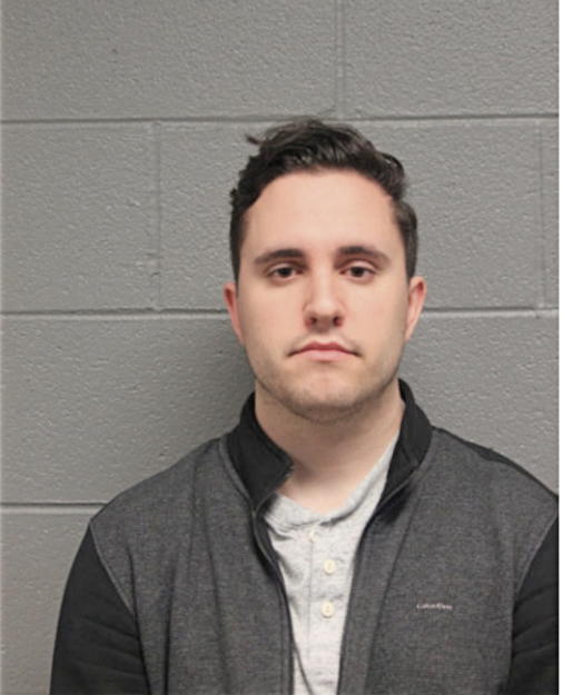 MATTHEW S SANDELIN, Cook County, Illinois