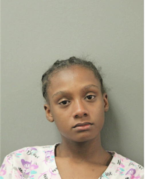 DEMIRA E SHIELDS, Cook County, Illinois