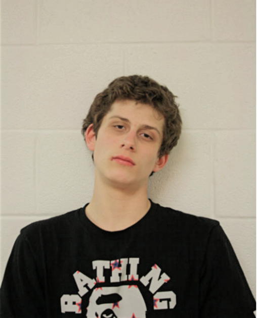 PAOLO A SIERRA, Cook County, Illinois
