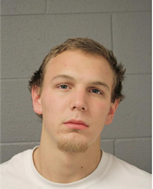 ROBERT L SISSON, Cook County, Illinois