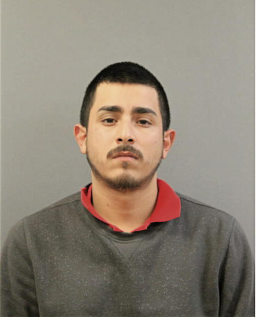 JUAN F TERRAZAS, Cook County, Illinois